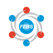 FEBS Network