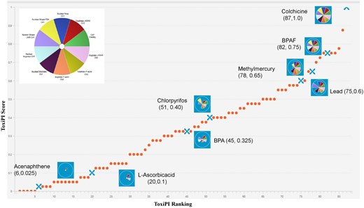 ToxPi-based ranking and visualization of 87 compounds screened using the 3D mini-testis high-content assay. Each compound was evaluated across 10 mechanistically relevant phenotypic endpoints, and the resulting PODs were integrated into Toxicological Priority Index (ToxPi) scores. The scatter plot shows compounds ranked along the x-axis by increasing ToxPi score, representing increasing toxicological concern. The y-axis indicates the normalized ToxPi score (range: 0 to 1). Highlighted compounds are labeled with their rank and ToxPi score (e.g. BPA: rank 45, score 0.325). Pie charts represent the individual ToxPi profiles of select reference compounds, with each of the 10 slices corresponding to a single phenotypic endpoint (e.g. cell viability, nuclear morphology, γH2AX, F-actin). The radial length of each slice is proportional to the relative toxicity of that endpoint; all endpoints were equally weighted. Key reference compounds include high-toxicity examples: Colchicine (rank 87, score 1.0), BPAF (rank 82, score 0.75), methylmercuric chloride (rank 78, score 0.65), and lead (rank 75, score 0.60). Low-toxicity examples: acenaphthene (rank 6, score 0.025), and L-ascorbic acid (rank 20, score 0.10).