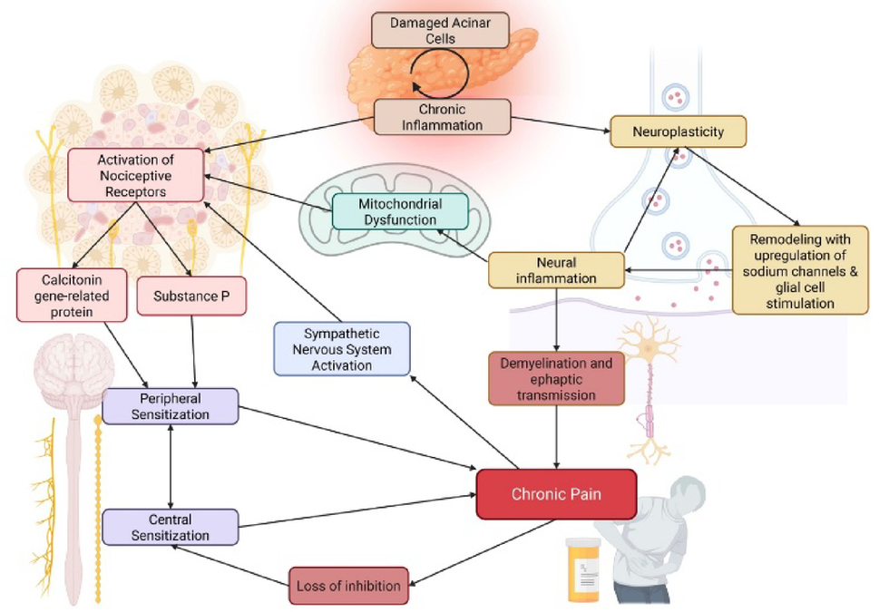 Springer International Publishing