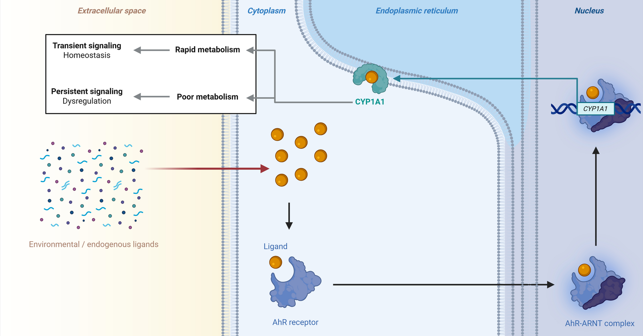 Springer Berlin Heidelberg