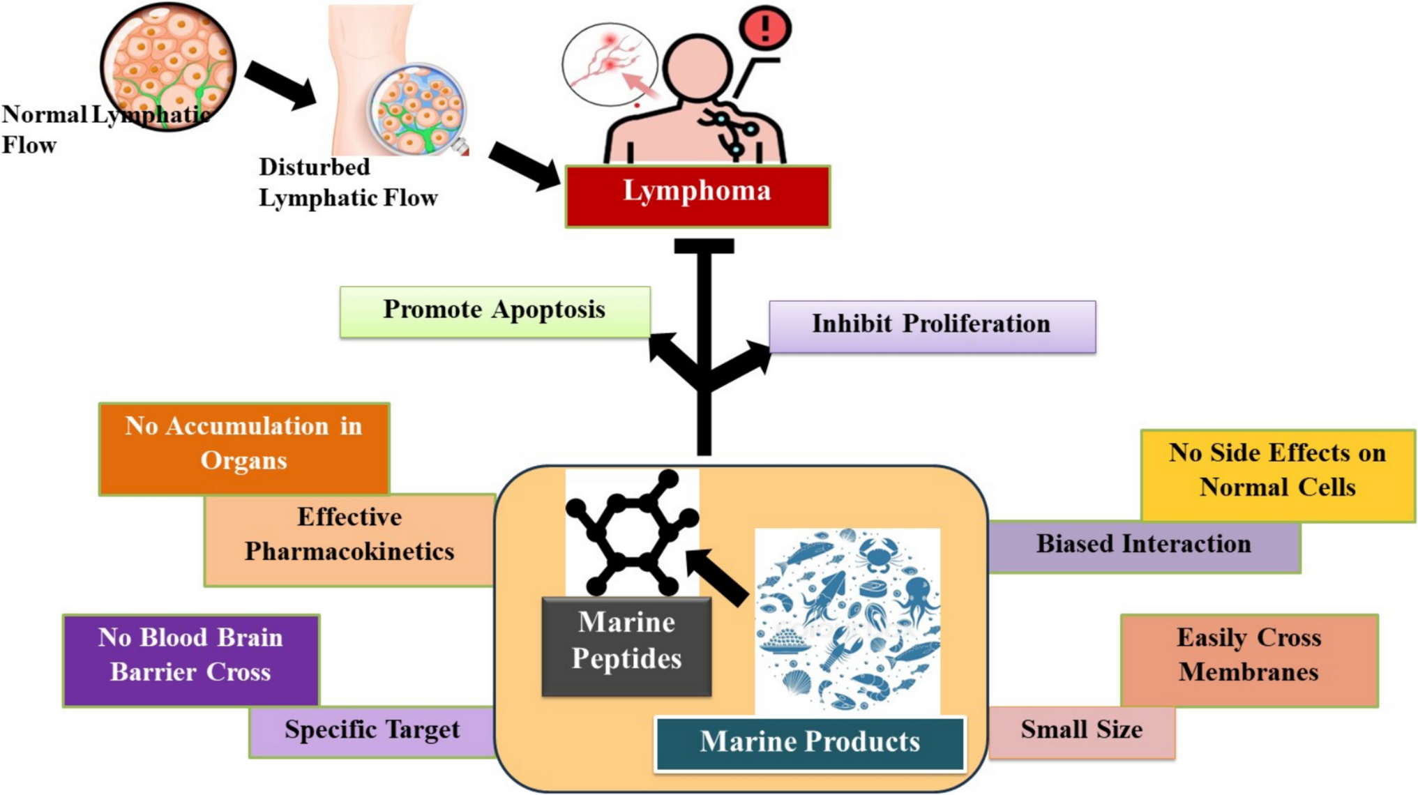 Springer Berlin Heidelberg