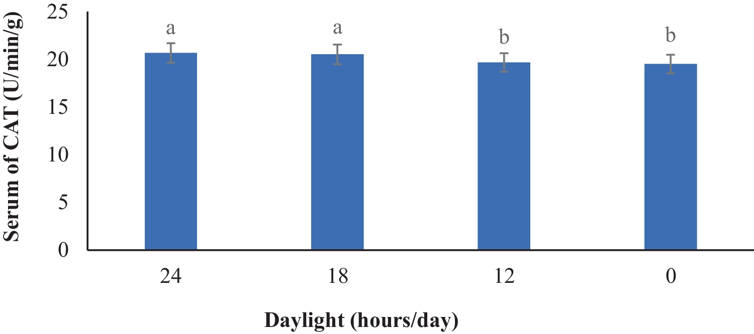 SpringerLink