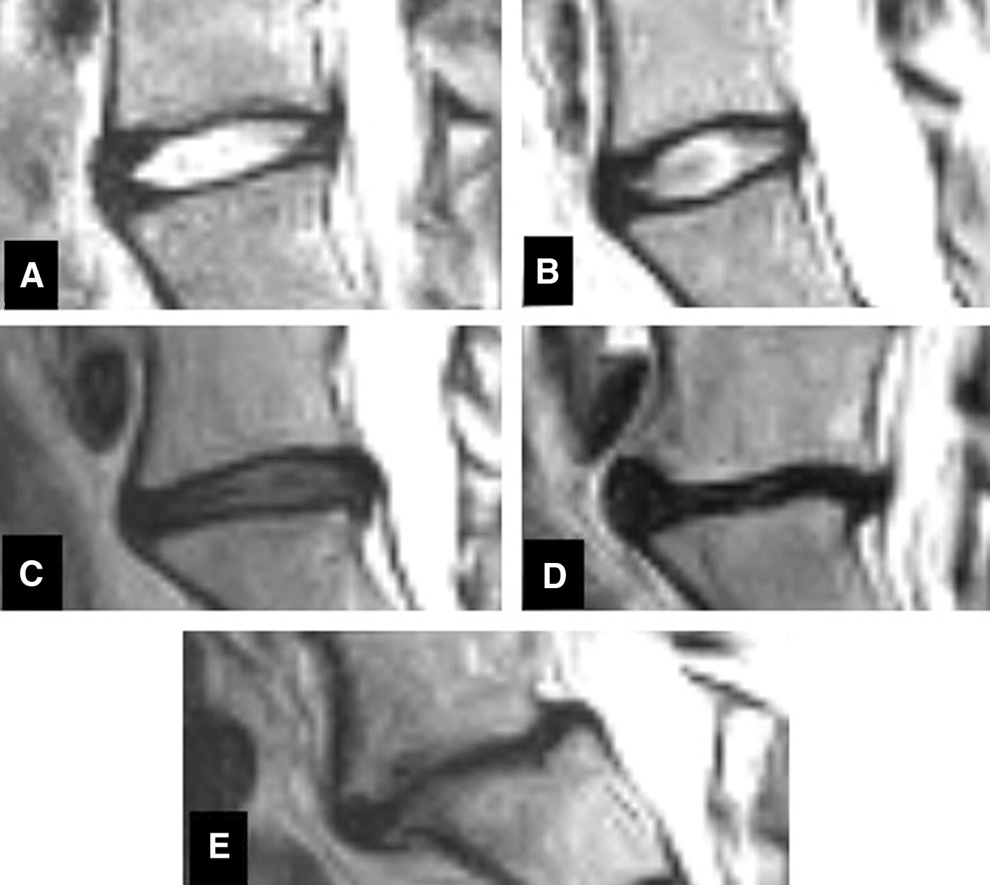 Springer Berlin Heidelberg