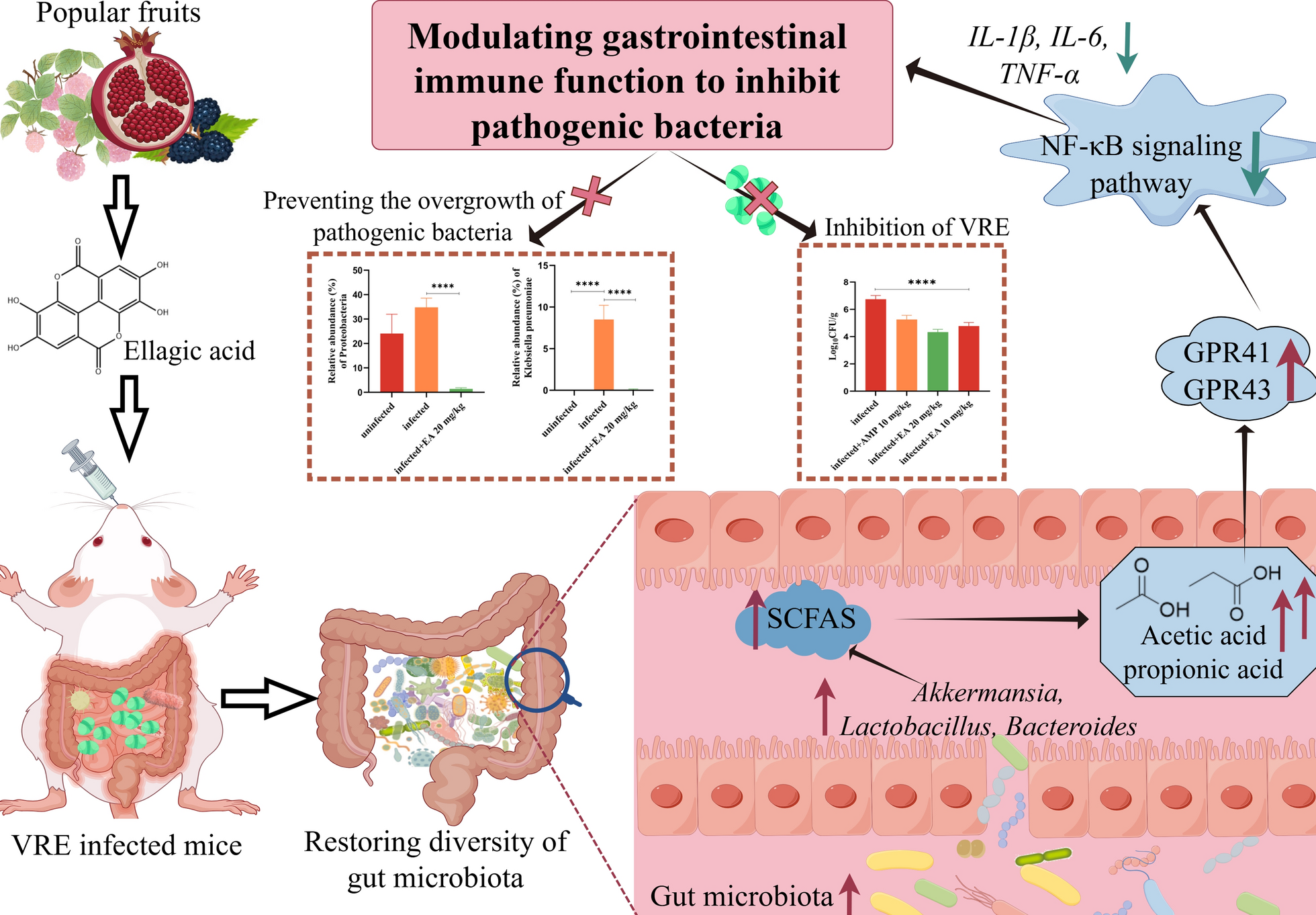 Springer Nature Singapore
