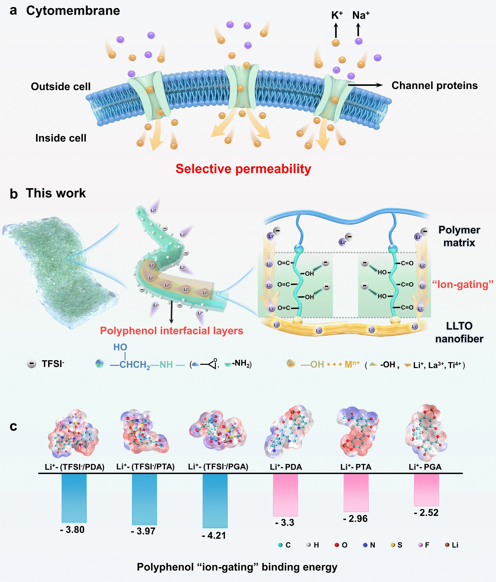 Springer Nature Singapore