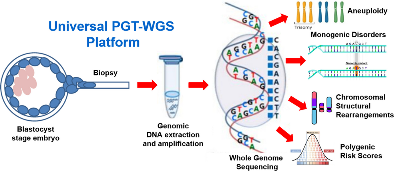 Springer Nature Singapore