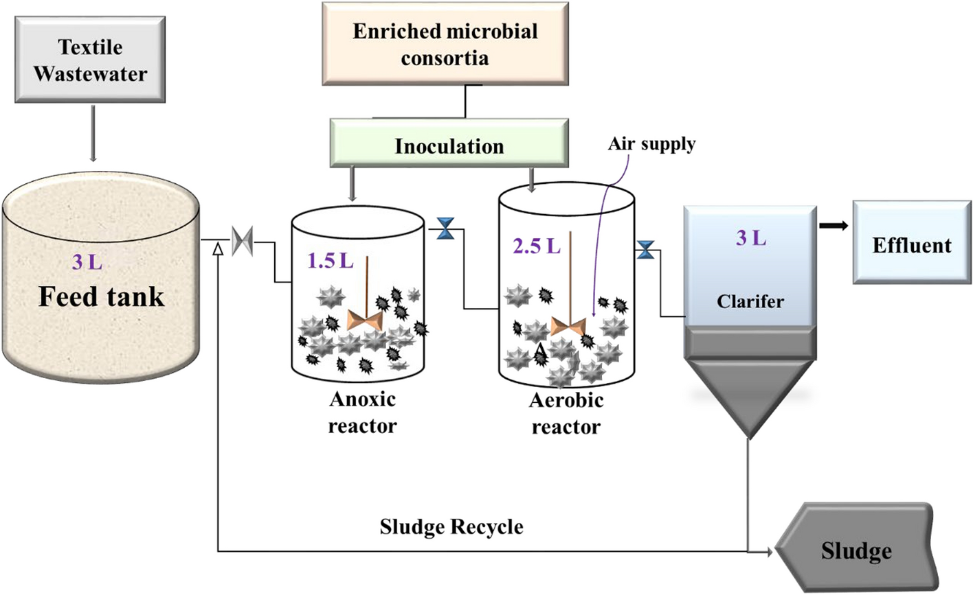 Springer International Publishing