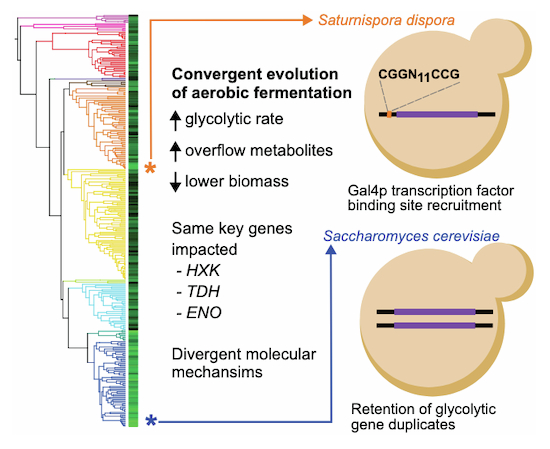 Nature Publishing Group UK