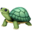 🐢