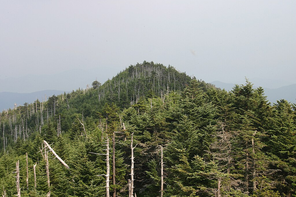 MountMitchell