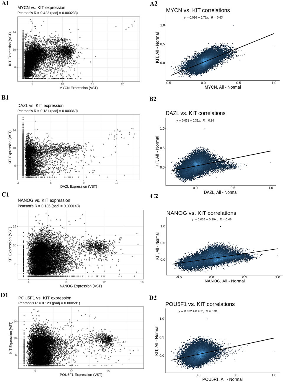 Scatter plots and correlations for gene expression analysis. A1 to D1 show KIT expression versus MYCN, DAZL, NANOG, and POU5F1 expression, with Pearson's R and p-adjusted values. A2 to D2 illustrate corresponding correlations with trend lines, equations, and R values for each gene against KIT.