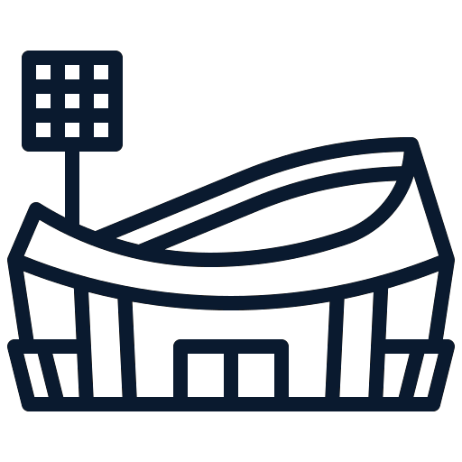stadium icon