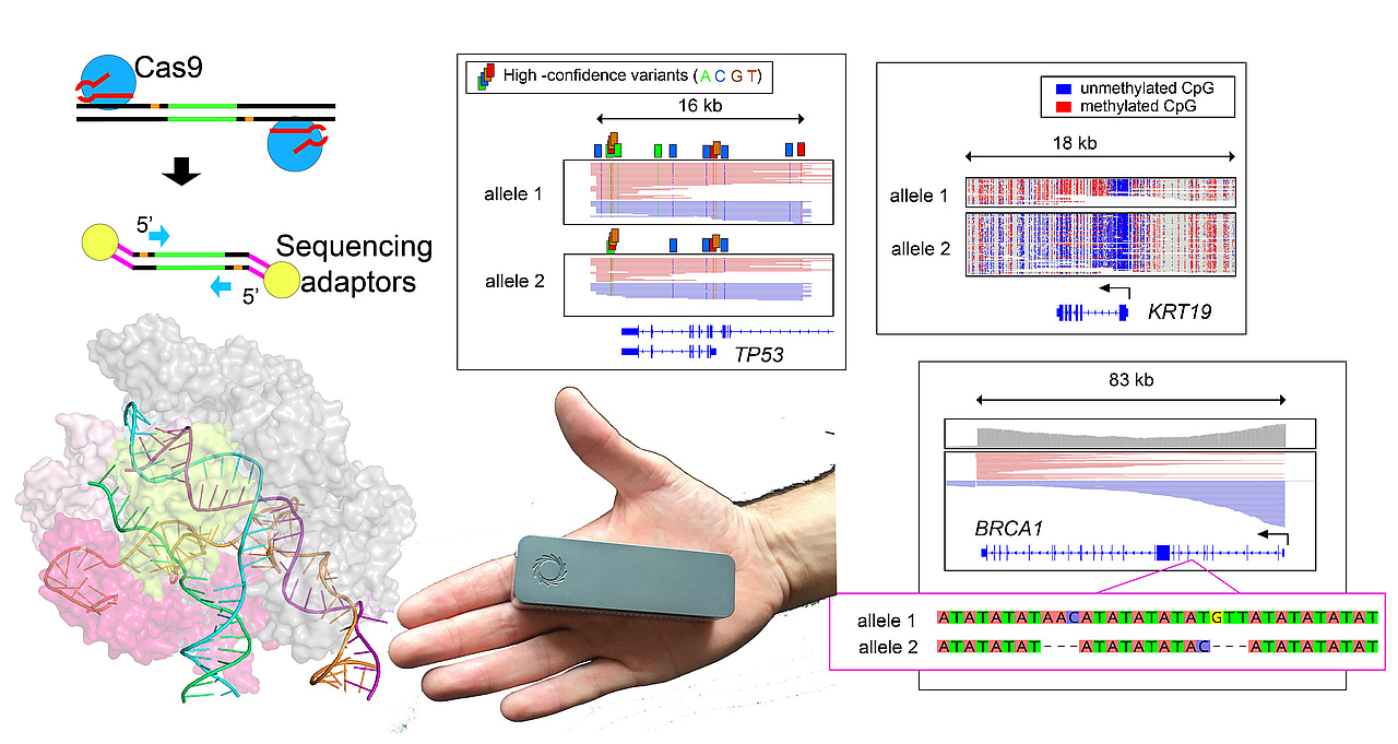 Targeted nanopore sequencing with Cas9guided adapter ligation Nature