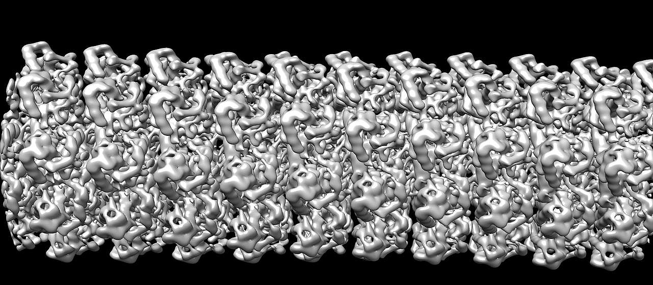 A detailed view of a filamentous virus Potato Virus X Nature