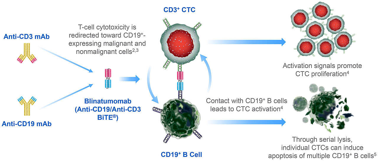 Blinatumomab in pediatric patients with relapsed/refractory acute