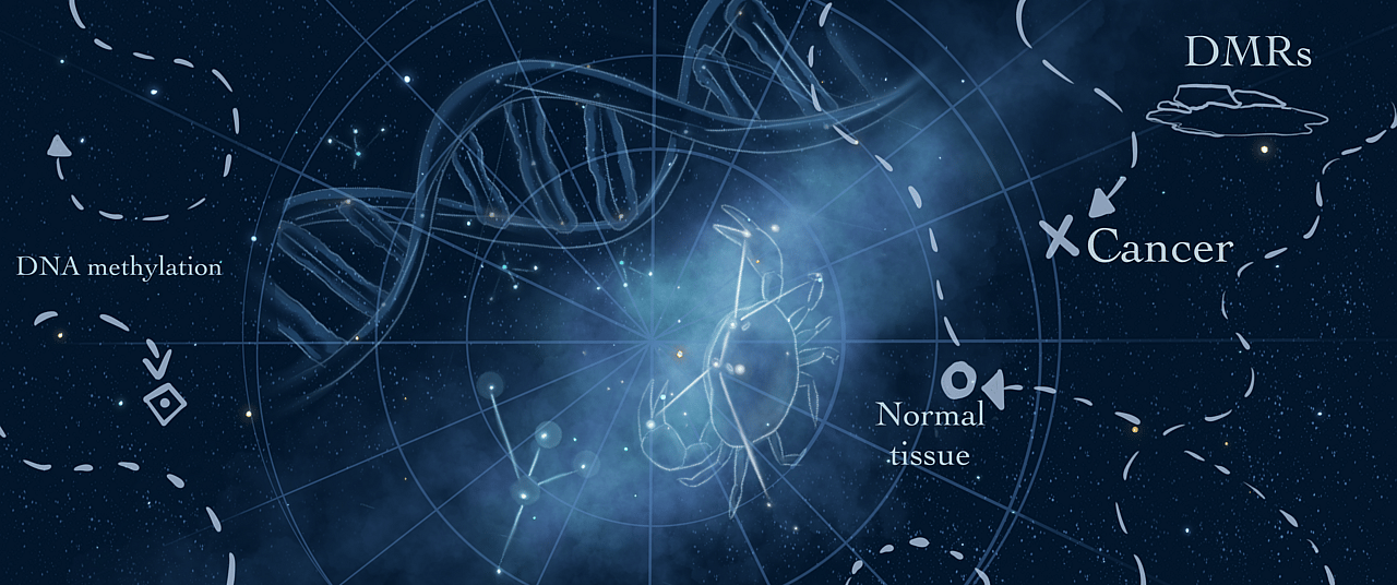 A quest to chart dna methylation changes in cancer nature portfolio 