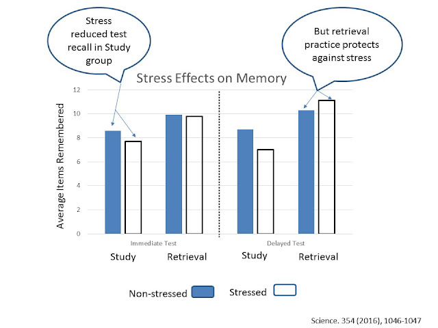 The effects of stress on memory