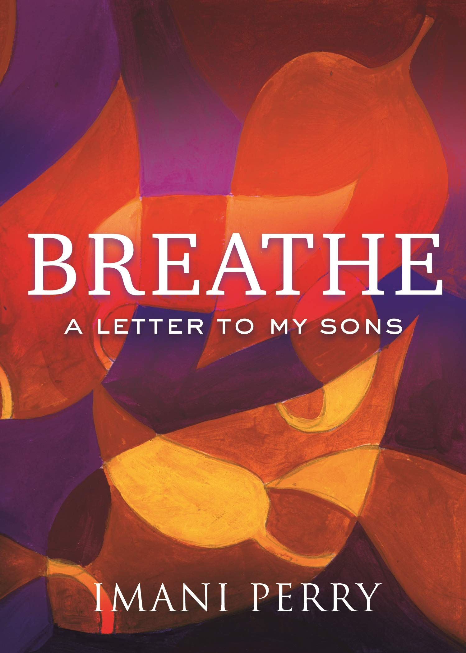 Breathe: A Letter to My Sons: Amazon.co.uk: Imani Perry ...