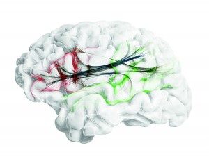 0613 NMeth cover-hires