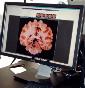 Deconstructing Henry