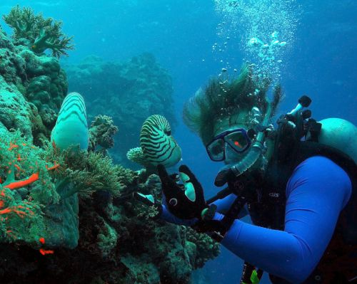 M_Leonid diving Leonid Moroz diving in Palau, collecting Nautilus.