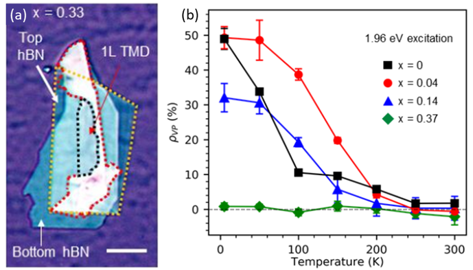 Temperature-dependent valley polarization