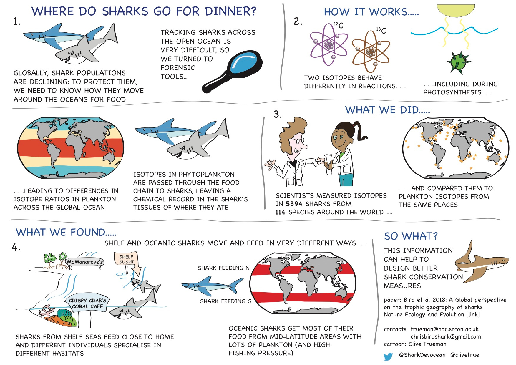 Cartoon abstract Cartoon abstract