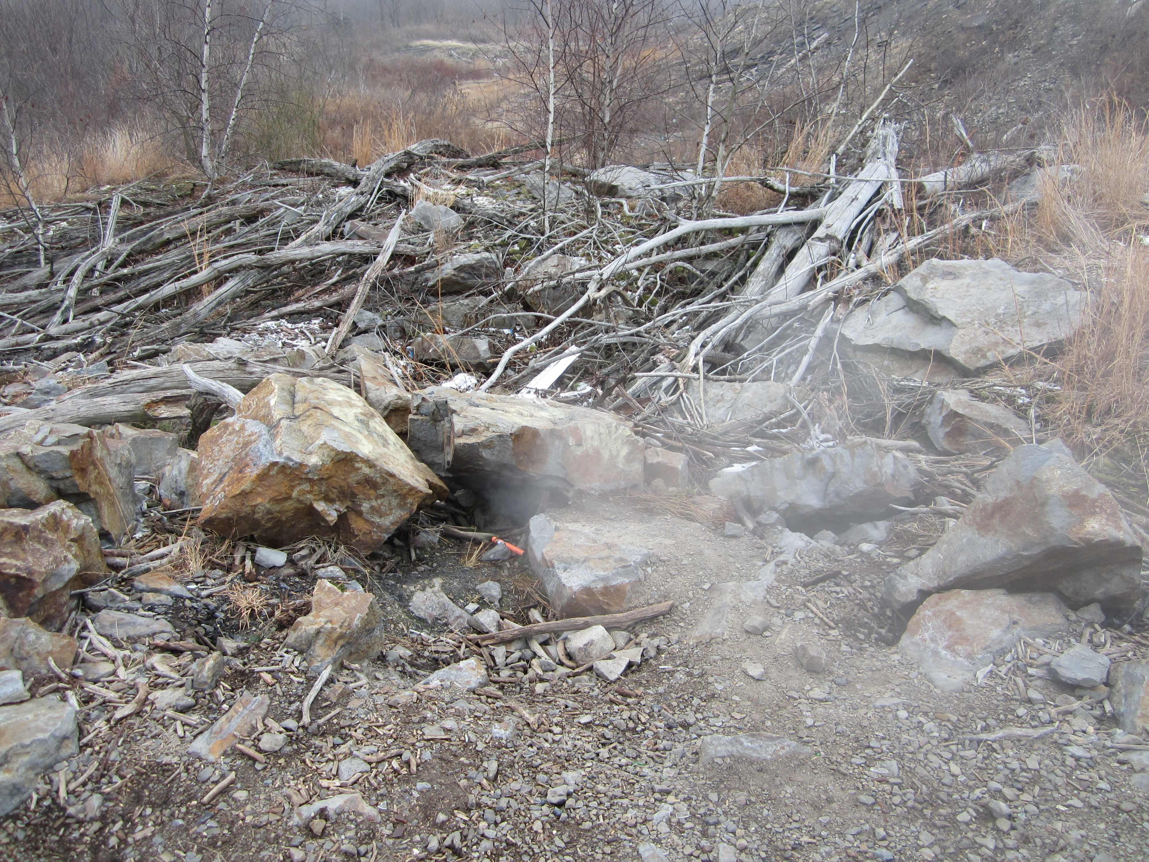 Steam escaping from an active vent Steam escaping from an active vent