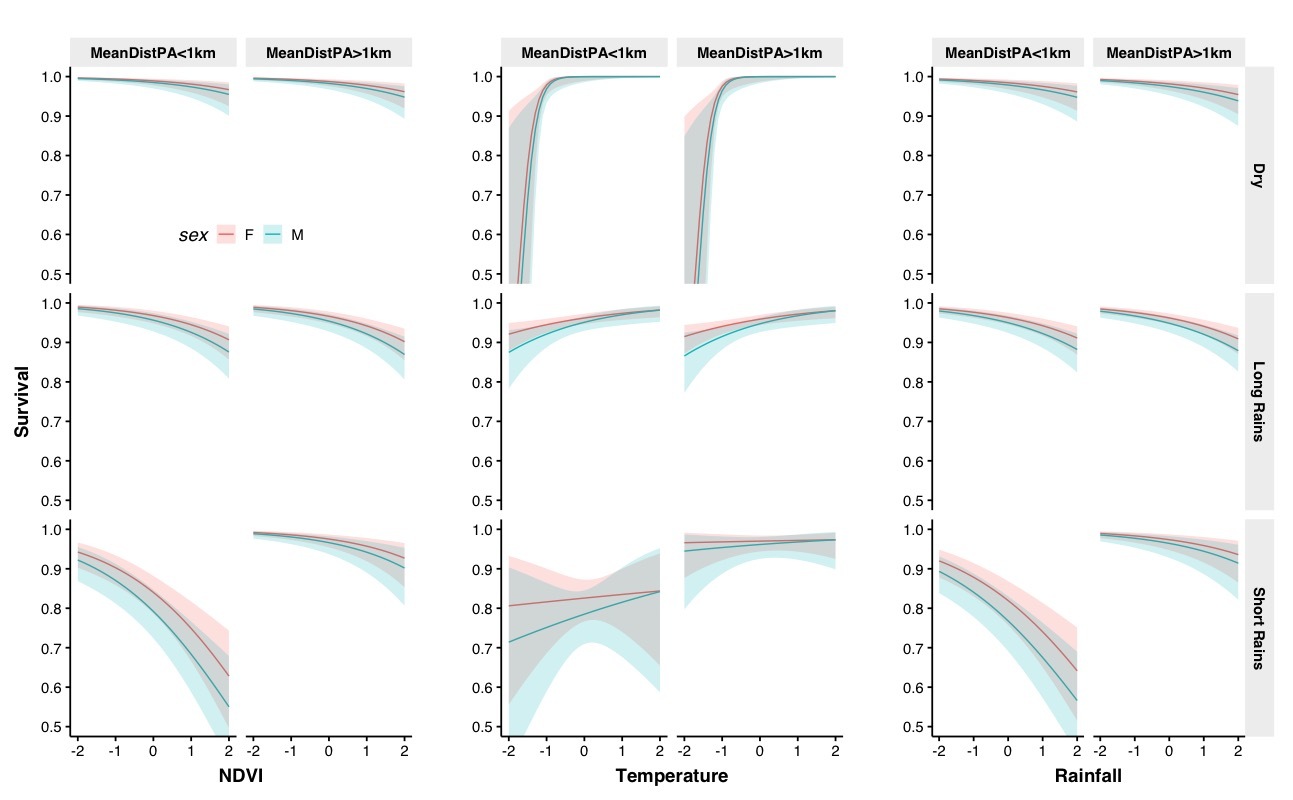 . Climate anomaly effects on seasonal survival of adult Masai giraffes in Tarangire Ecosystem, Tanzania 2012‒2019. MeanDistPA is mean distance from the edge of the protected area (km). M = male; F = female.