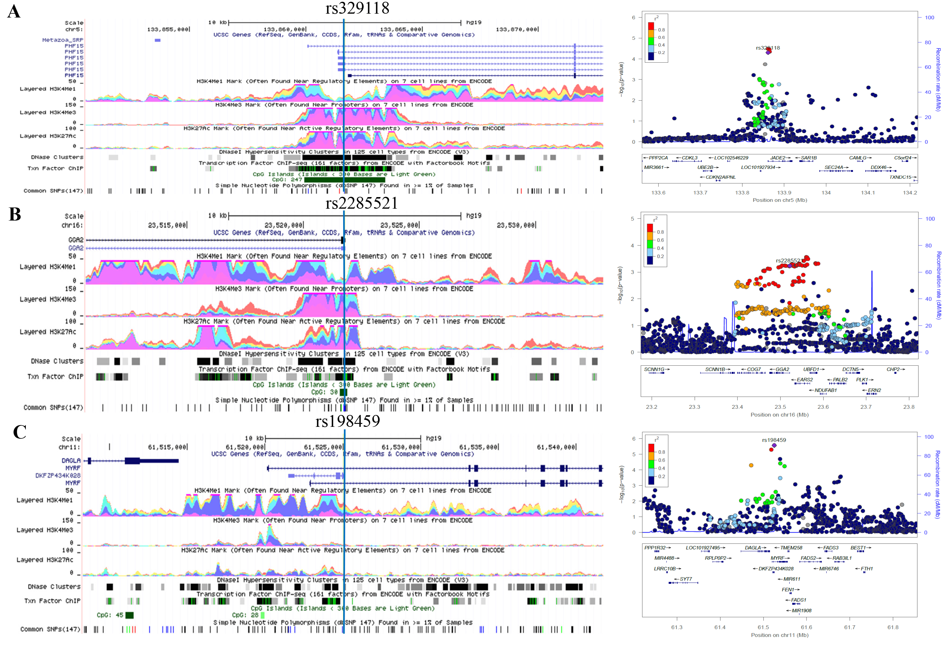 Association results and functional prediction of lung cancer risk-associated potential splicing SNPs.