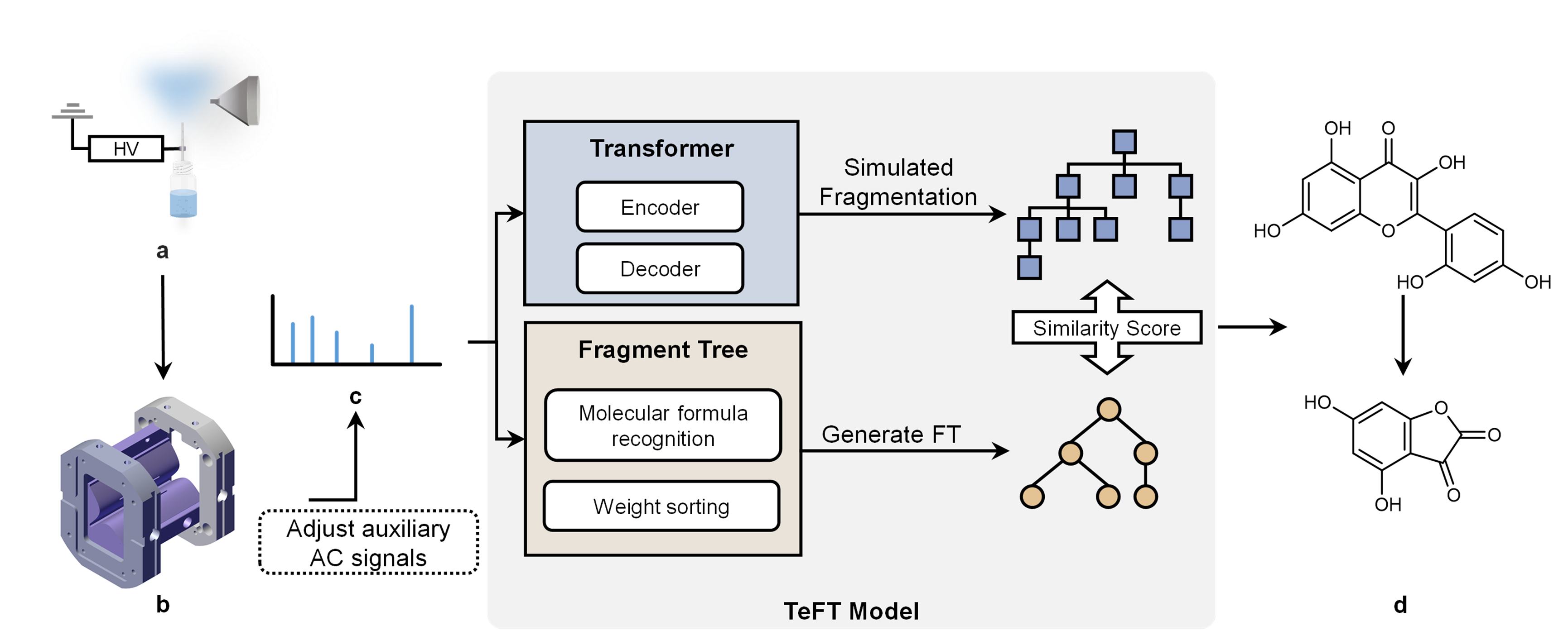 Figure1. A conceptual overview of TeFT. In the on-site application, miniaturized mass spectrometry is used to get MSn spectra. Using the Transformer and Fragment tree generation approach, a range of potential SMILES strings and the fragment tree were predicted. Through the simulation of fragmentation, several SMILES fragmentation trees are generated and then subjected to a comparative analysis and scoring process against the fragmentation tree. The SMILES tree with the highest score provides possible annotations for each peak in the spectrum. a, Electrospray ionization. b, Miniaturized ion trap. c, MSn spectrum. d, Candidate annotation of fragmentation peaks