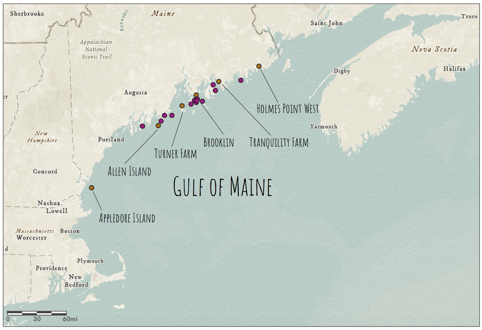 Map of the Gulf of Maine area showing the location of shell middens containing furbearing mammal remains. Brown labeled points are key localities for our research, including the sites of our visit this summer - Turner Farm, Brooklin, and Holmes Point West. Map made in ArcGIS Online by A. Mychajliw.