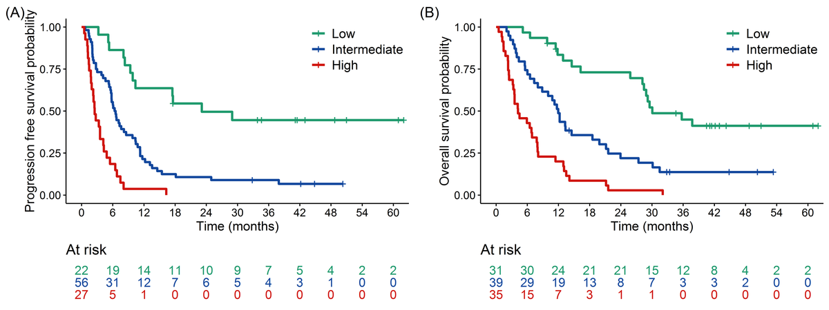 A Kaplan–Meier curve for PFS of the study population stratified into three risk groups based on their individual score in the nomogram (Supplementary Figs. 1 and 2). Factors affecting PFS in multiple regression models were: cfDNA concentration in plasma at baseline, maxVAF at T2, increase (∆T2–T1) of cfDNA, and PD-L1 expression. B Kaplan–Meier curves for the OS of the study population stratified into three risk groups based on their individual score in the nomogram (Supplementary Figs. 1 and 2). Factors affecting OS in multiple regression models were: cfDNA at baseline, increased (∆T2–T1) of cfDNA, maxVAF at T2, histology and PD-L1 expression.