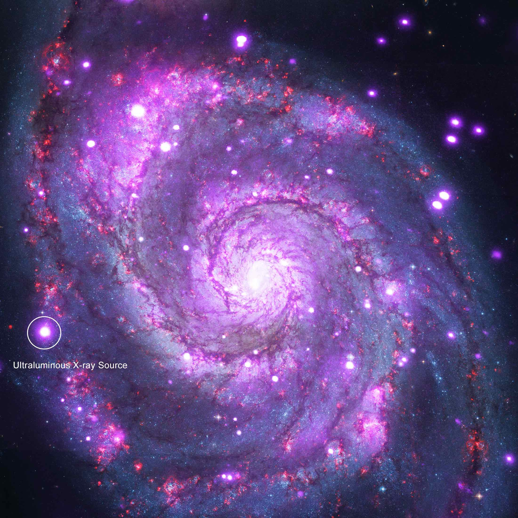 The Whirlpool galaxy, M51 The Whirlpool galaxy, M51