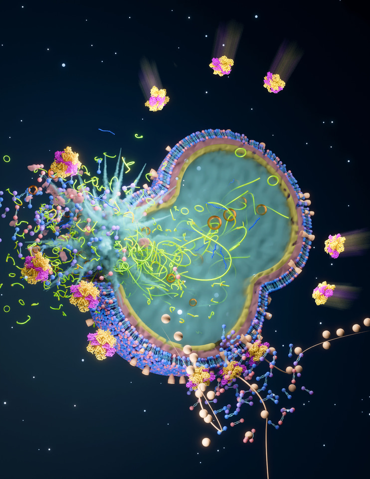 Bacterial plucking by  