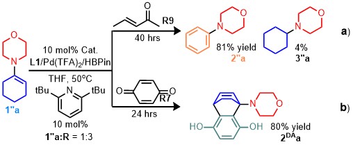 a Synthesis of a substituted aniline. b Trapping the diene for the Diels-Alder reaction.