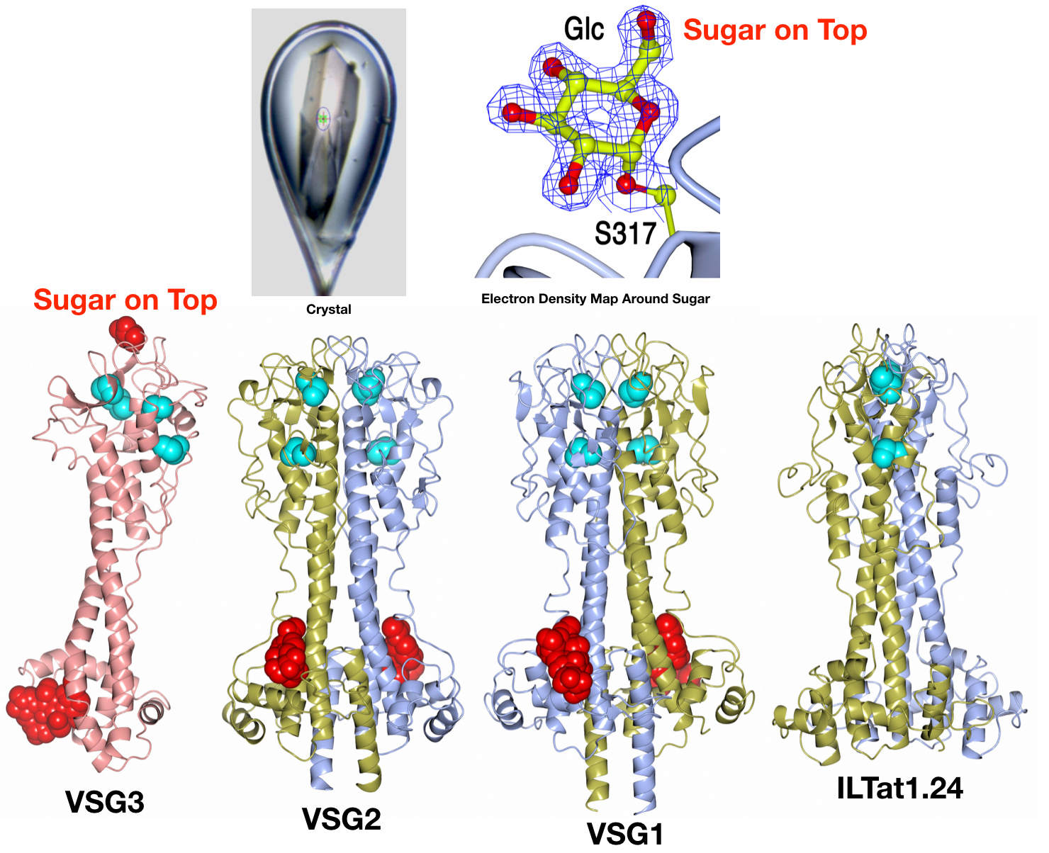 Rogues Gallery Rogues Gallery