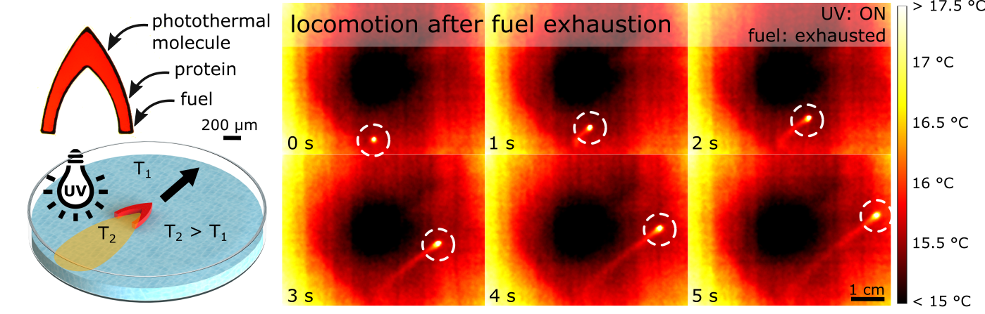 Locomotion after fuel exhaustion