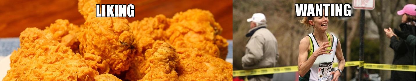 The liking vs wanting distinction is actually a quite familiar one in our everyday lives