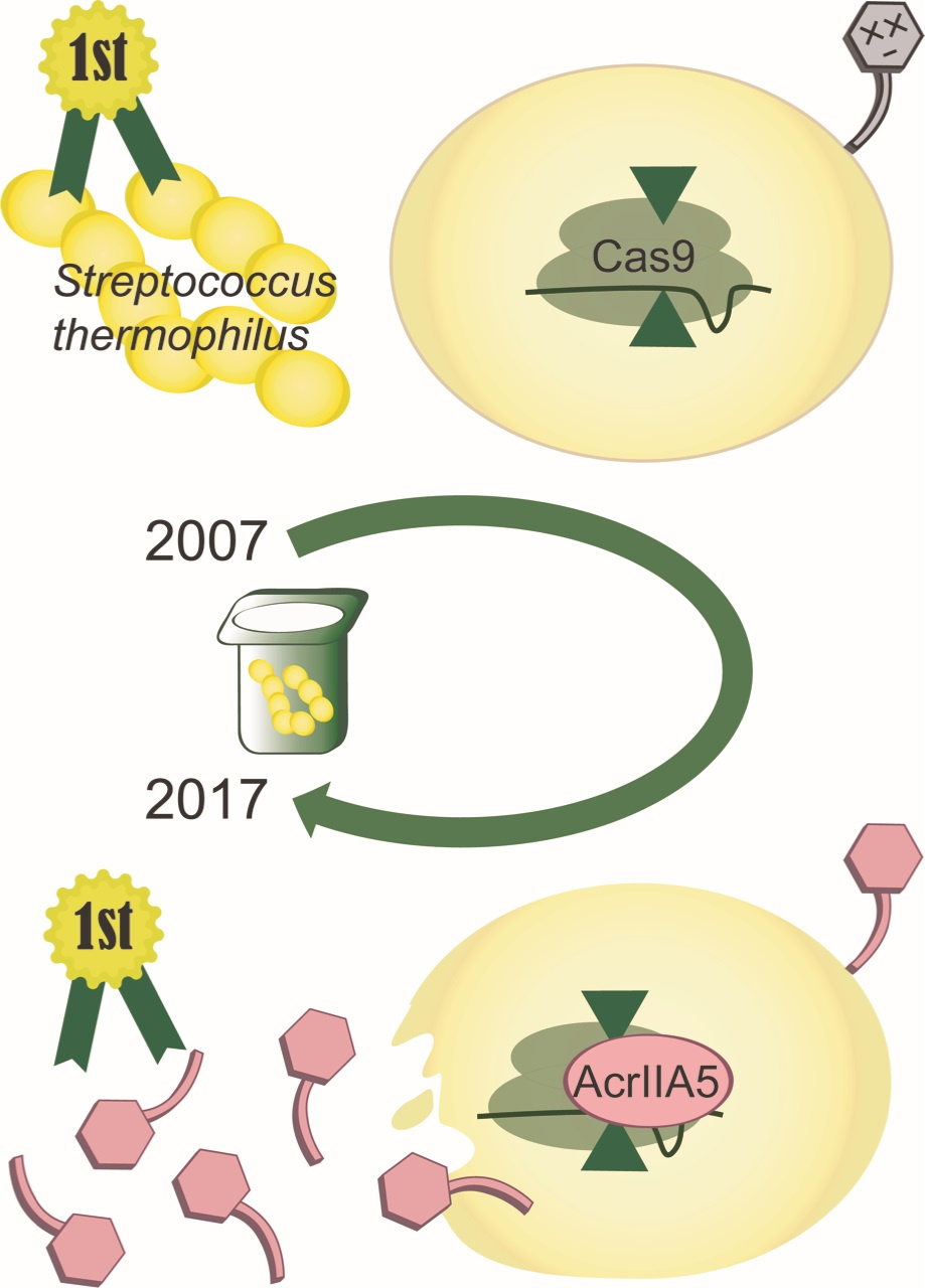 Full Circle Full Circle