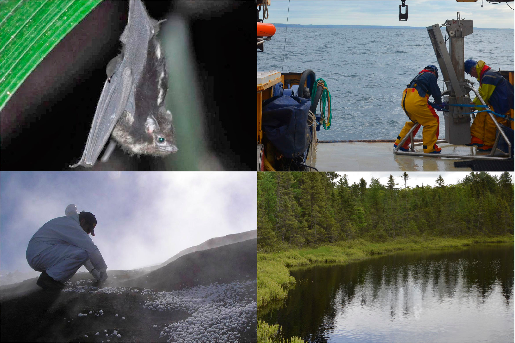 Photo collage of sampling for the EMP (2 of 2) Photo collage of sampling for the EMP (2 of 2)