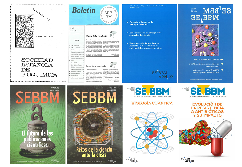Collage of covers of the SEBBM Journal past and current issues