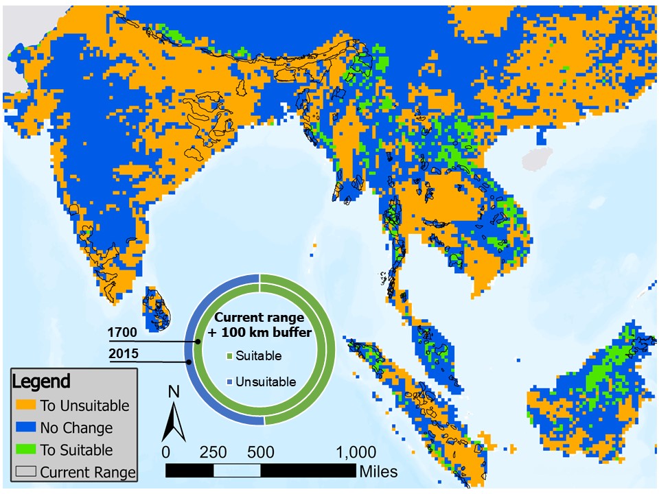 Change in availability of suitable habitat for elephants over 315 years
