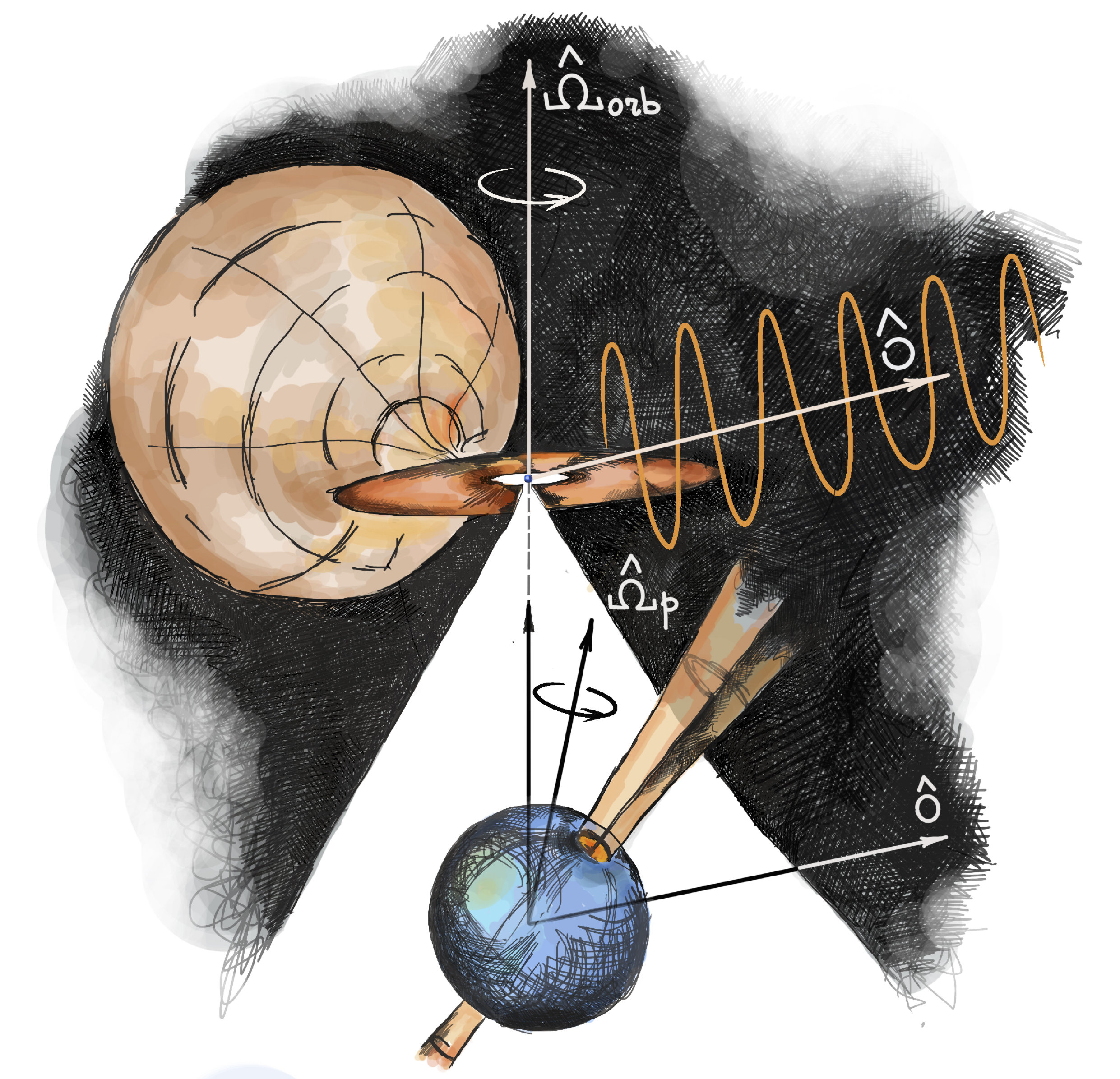 A sketch of Her X-1 binary system consisting of a donor star feeding matter through the accretion disk onto the tiny neutron star at its center. The neutron star (shown in a magnified form in the front) spins and misalignment of its spin and magnetic axes produces pulsed X-rays, i.e. is a so-called X-ray pulsar. IXPE data allowed to measure angles between all relevant axes, and to show that the spin axis of the pulsar is surprisingly misaligned with the orbital plane. This is probably due to the fact that the pulsar precesses much like a spinning top toy as previously hinted by other observations.