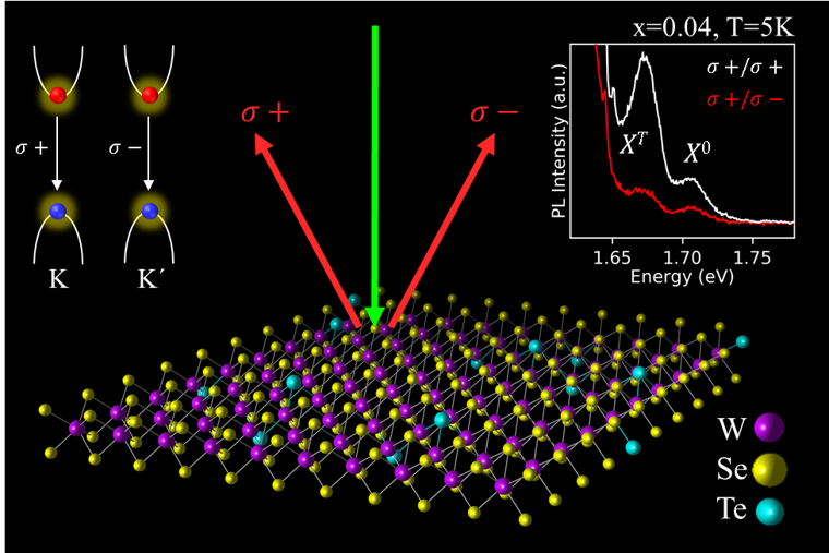 Valleytronics in 2D alloys