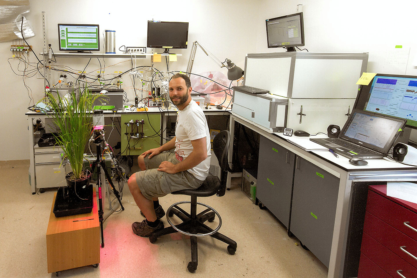 In the lab In the lab