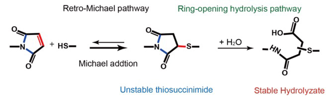 Reaction mechanism Reaction mechanism