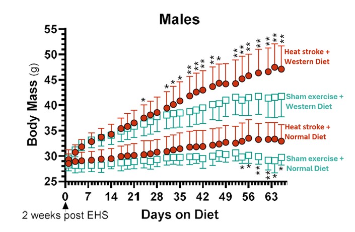 Body weight changes over time