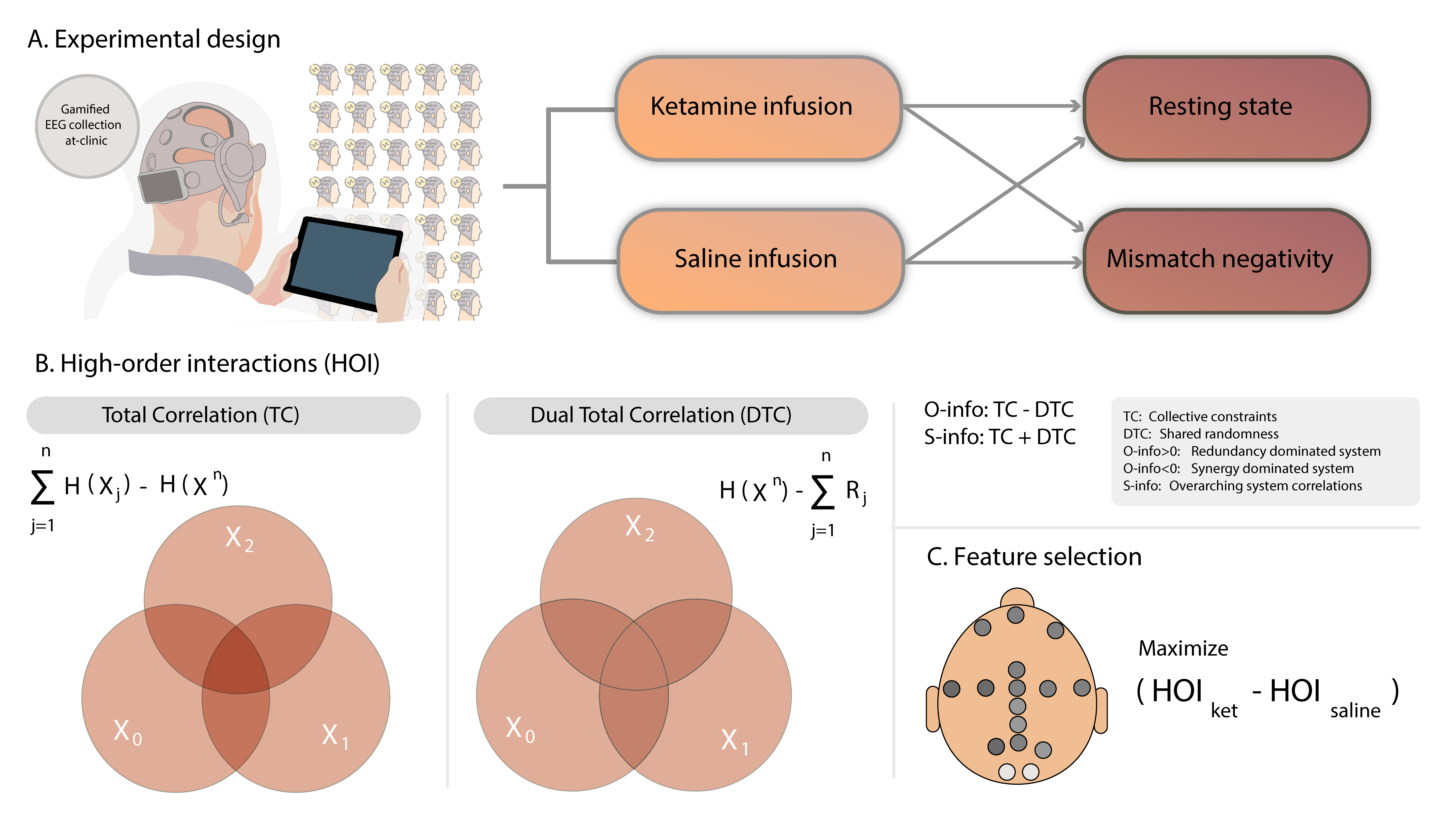 A. Subjects participated in a double-blind crossover design using portable EEG, capturing both resting states and task-based recordings (namely, a gamified oddball paradigm inducing a typical mismatch negativity). In randomized sessions, participants received both ketamine and saline infusions. B. Analysis of high-order interactions (HOI) entailed measurements of total correlation (TC) and dual total correlation (DTC), O-information and S-information (see Methods). C. Feature selection across the two designs (rest and task) was employed to pinpoint the primary differences between the ketamine and saline conditions.