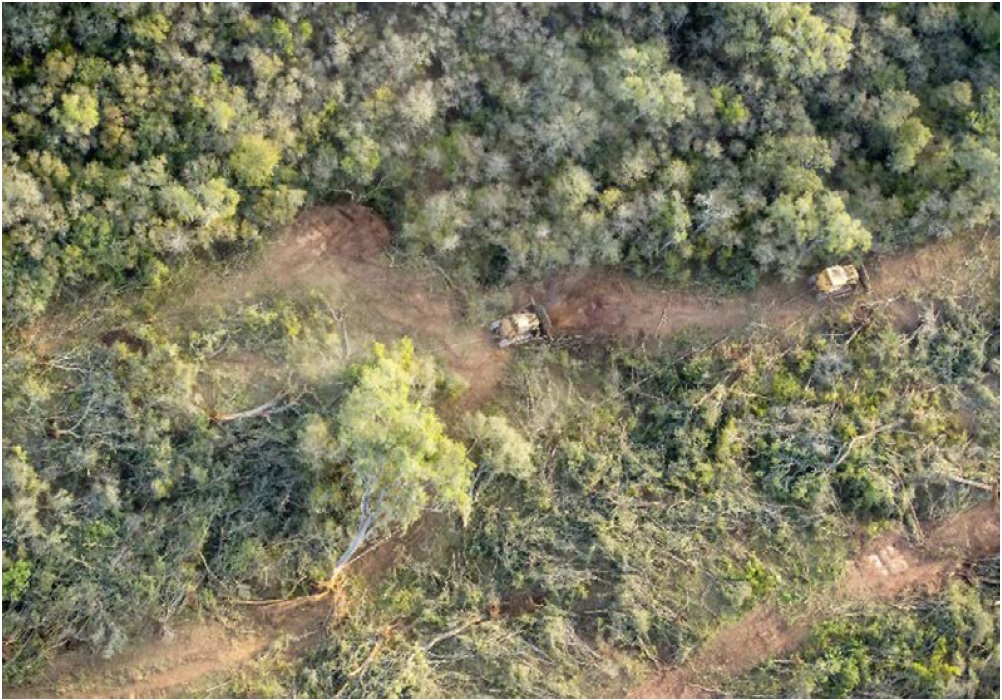 Deforestation in Salta province, Argentina Deforestation in Salta province, Argentina